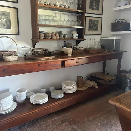 Poggio Ai Due Pini Bibbona